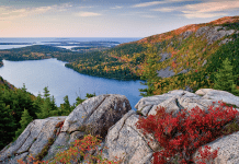 Plan Your Fall Foliage Roadtrip Now! Near Peak Soon in Parts of Vermont, New York Maine Fall Foliage | I-95 Exit Guide