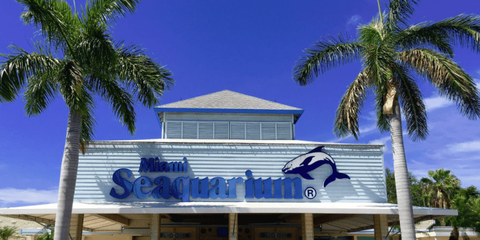 Miami Seaquarium | I-95 Exit Guide Miami Seaquarium | I-95 Exit Guide