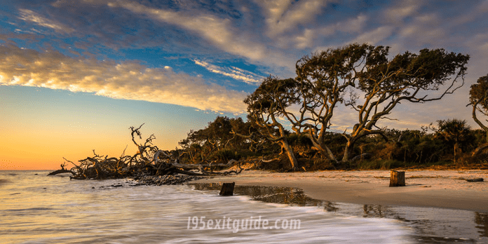 Jekyll Island, Georgia | I-95 Exit Guide Jekyll Island, Georgia | I-95 Exit Guide