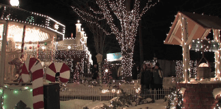 ZooLights at the Stone Zoo | I-95 Exit Guide