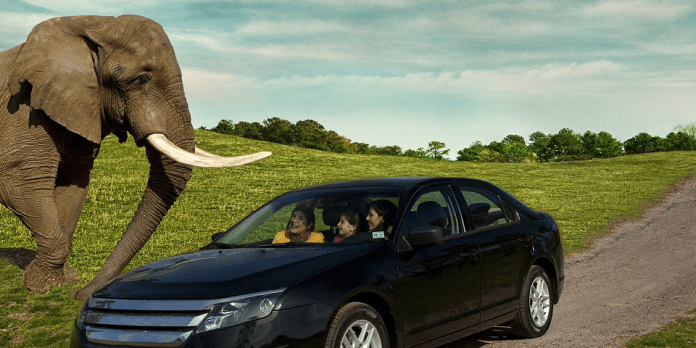 Six Flags Safari | I-95 Exit Guide Six Flags Safari | I-95 Exit Guide