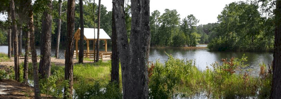 I-95 Campgrounds | Camp Lake Jasper RV Resort - Hardeeville, South Carolina