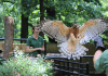 Brandywine Zoo – Wilmington, DE Brandywine Zoo | I-95 Exit Guide