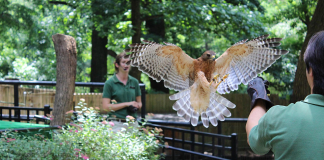 Brandywine Zoo | I-95 Exit Guide