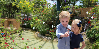 Butterfly World | I-95 Exit Guide