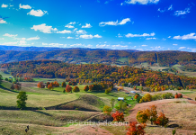 Fall Foliage Along I-95 – Part Three: Virginia to Delaware Virginia Fall Foliage | I-95 Exit Guide