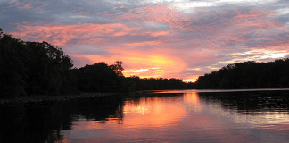 Florida's River of Lakes Byway | I-95 Exit Guide