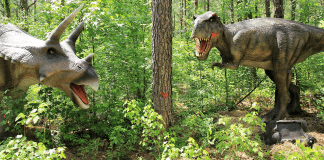 Dinoworld - Fayetteville, North Carolina | I-95 Exit Guide