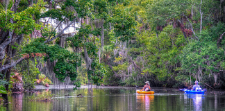 Daytona Beach Outdoors | I-95 Exit Guide