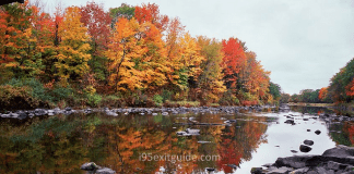Fall Foliage Along I-95 – Part One: New Hampshire and Maine Fall Foliage | I-95 Exit Guide