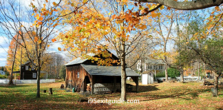 Delaware Fall Foliage | I-95 Exit Guide