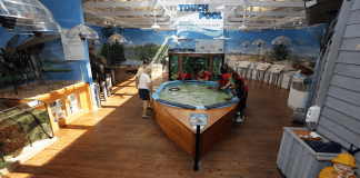 Daytona Beach | I-95 Exit Guide