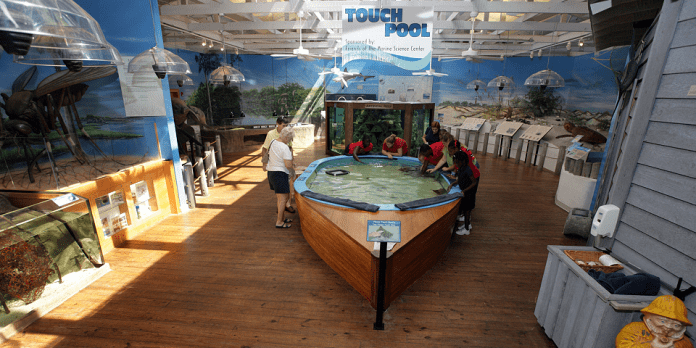 Daytona Beach | I-95 Exit Guide Daytona Beach | I-95 Exit Guide