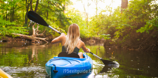 North Carolina marshland | I-95 Exit Guide