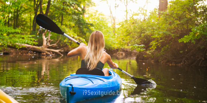 North Carolina marshland | I-95 Exit Guide North Carolina marshland | I-95 Exit Guide