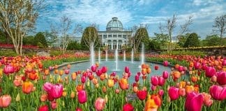 Lewis Ginter Botanical Garden | I-95 Exit Guide
