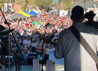 Kingsland, Georgia Mardi Gras | I-95 Exit Guide