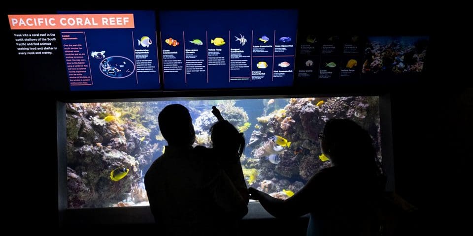 National Aquarium | Baltimore, Maryland | I-95 Exit Guide
