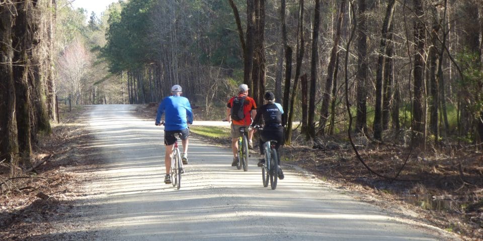 Santee National Wildlife Refuge | I-95 Exit Guide