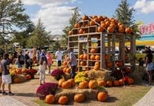 Discover Myrtle Beach’s Secret Season Filled with Fall Festivals, Flavors and Family Fun Myrtle Beach | I-95 Exit Guide