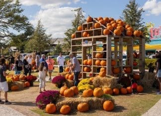 Discover Myrtle Beach’s Secret Season Filled with Fall Festivals, Flavors and Family Fun Myrtle Beach | I-95 Exit Guide