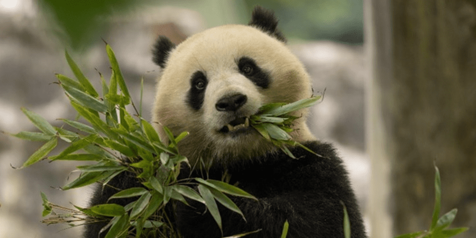 National Zoo | I-95 Exit Guide