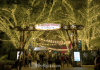 Busch Gardens | I-95 Exit Guide