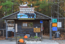 Maine Wildlife Park - Gray, Maine | I-95 Exit Guide