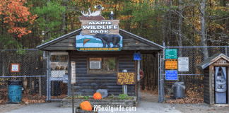 Maine Wildlife Park - Gray, Maine | I-95 Exit Guide