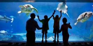 Adventure Aquarium – Camden, New Jersey Adventure Aquarium - Camden, New Jersey | I-95 Exit Guide